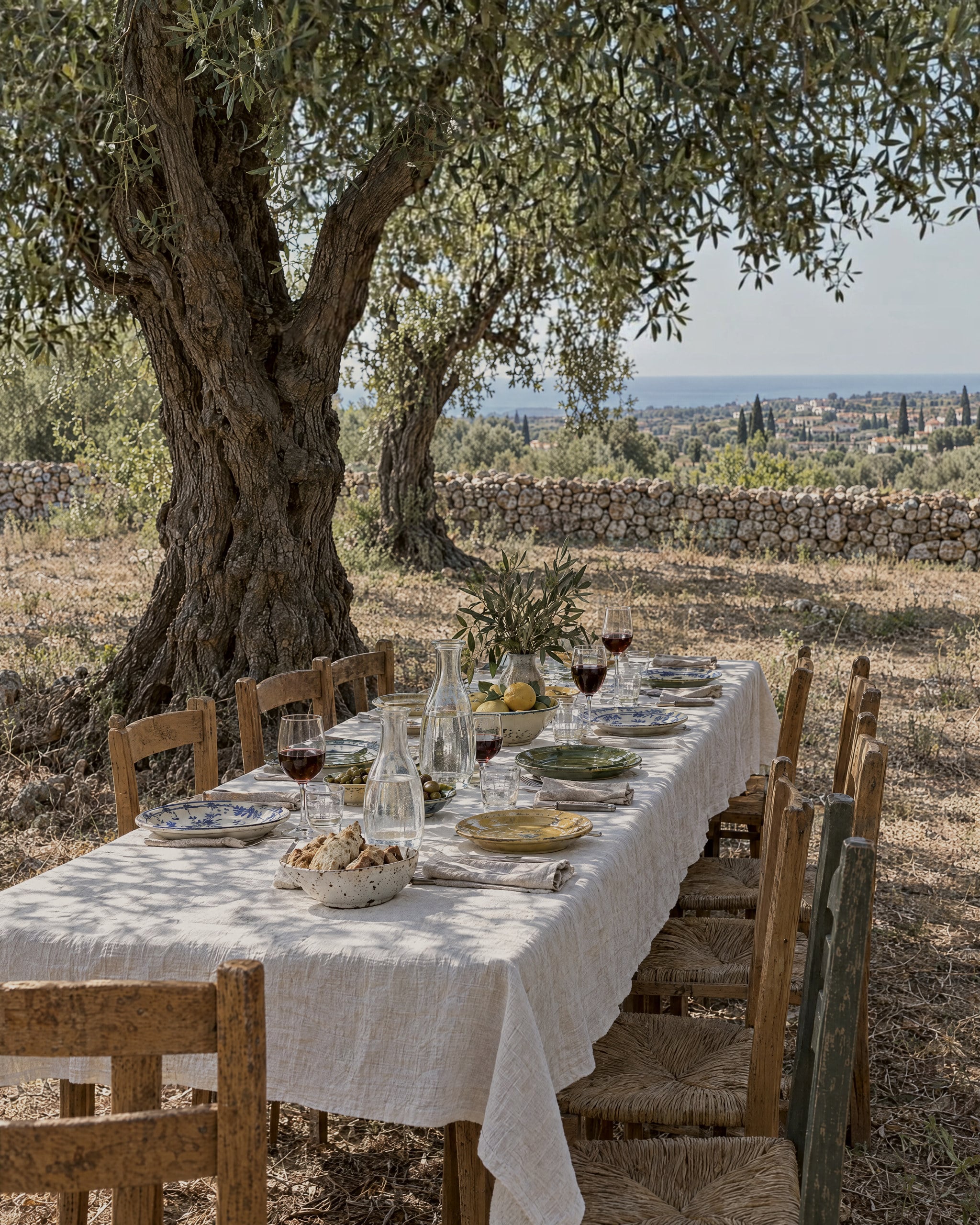 A long table set for lunch under old olive trees. It has a white linen cloth, carafes of water and red wine, glazed plates, a bowl of lemons and wooden chairs with rush seats. A dry-stone wall and a distant sea are beyond.